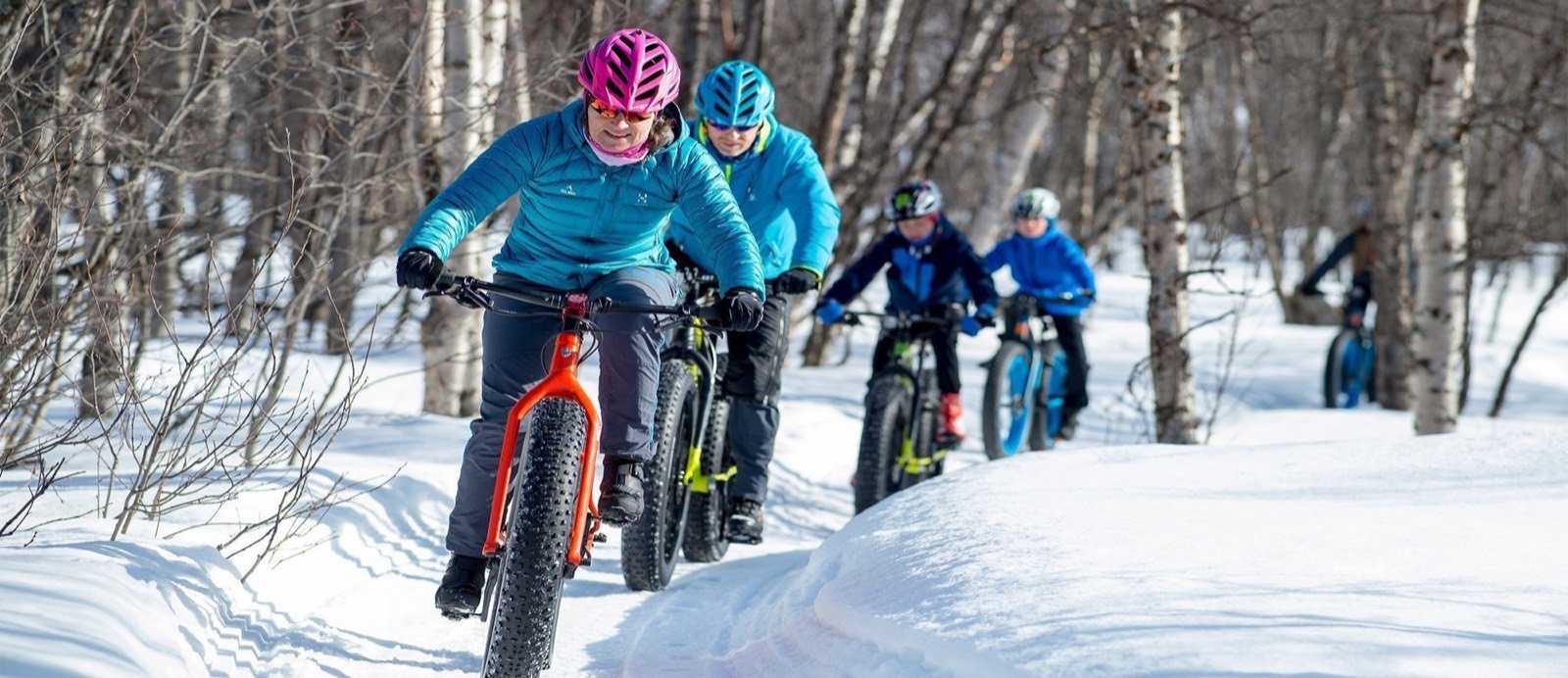 Three riders on electric fatbikes in a snowy birch forest
